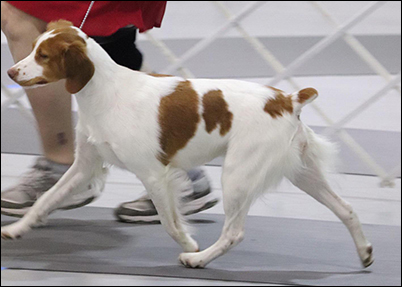 Mini with his baby brother