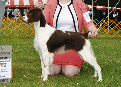 Horizon's Moon By Night