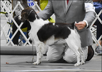 Summer Specialty with Doug