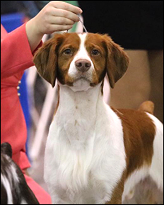 courtesy of Wendy Archinal