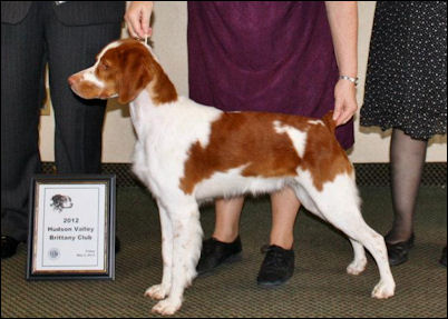 CH Horizon's Gracious Light