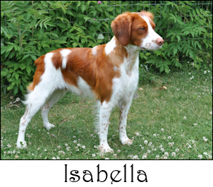 Isabella