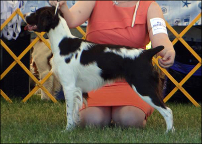 Horizon's A Wrinkle In Time