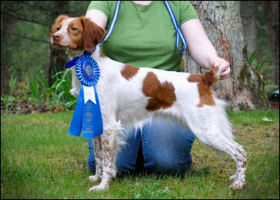 CH Horizon's I Put A Spell On You