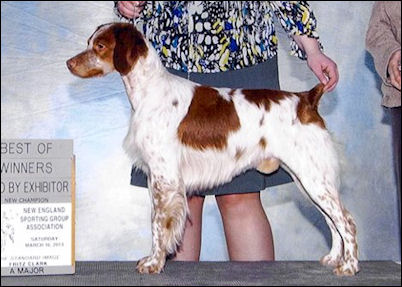 CH Horizon's I Put A Spell On You