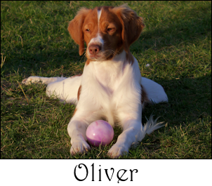 Oliver