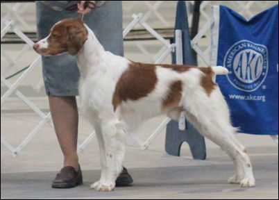 Horizon's Straight On Til Morning