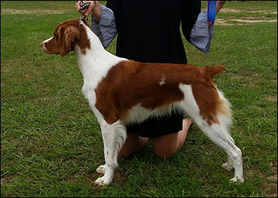 Horizon's Troubling A Star