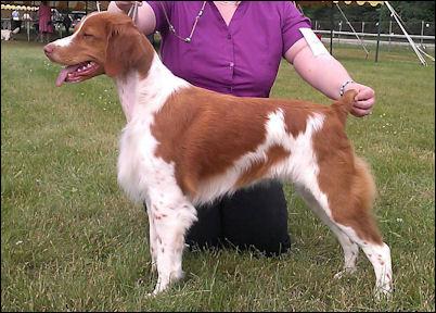 Horizon's Finding Neverland