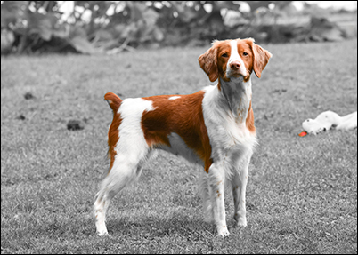 When she first arrived